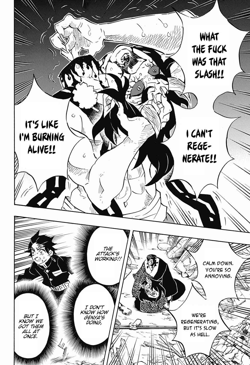 Demon Slayer Chapter 113 - Page