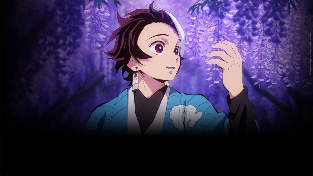 Tanjiro Kamado After Returning to Human Form